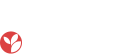 Blume.Social logo